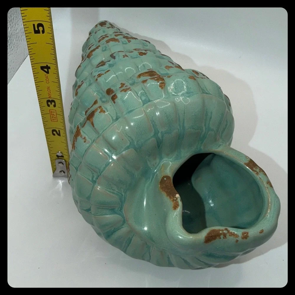 Unbranded conch shell